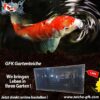 Startseite GFK Teiche